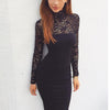 Sexy Fashion Lace Stitching Bodycon Dress