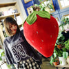 Software Simulation Fruit Strawberry Pillow