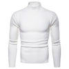 New Men's Turtleneck Slim Solid Sweater