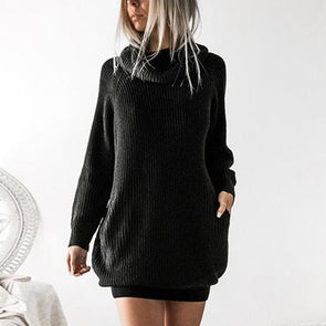 Fashion High Collar Long Sleeves Sweater Mini Dress