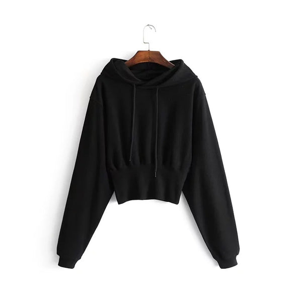 New Solid Color Hooded Sweater