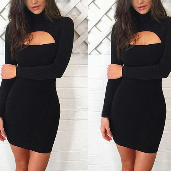 Sexy Hollow Out Slim Elegant Bodycon Dress