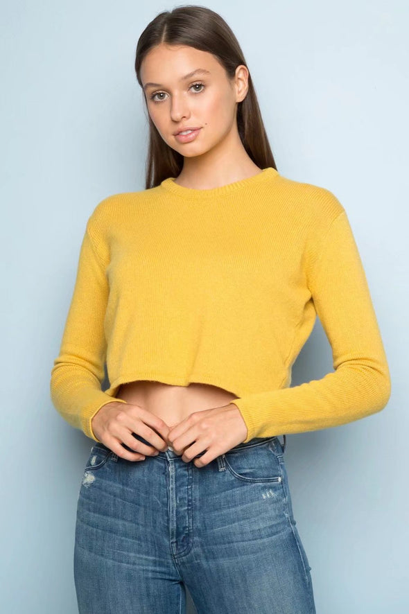 Simple Rabbit Velvet Round Neck Long Sleeve Sweaters