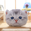 Cartoon Cat Pillow