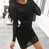 Sexy Lace Sequined Long-Sleeved Bodycon Dress