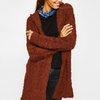 Casual Autumn Hooded Plain Outerwear