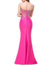 Formal See-Through Mermaid Evening Dress