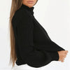 Solid Color High Collar Long Sleeve Slim Casual Sweater