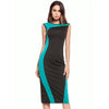 Professional Women's Slim Sleeveless Bodycon Dress